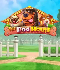 Pragmatic Play's The Dog House adventure, offering a delightful journey into the world of charming canines. Discover gameplay elements including multipliers, perfect for providing entertaining gameplay. A must-try for those who enjoy a lighthearted theme with a chance for big wins.