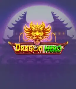 Join a fantastic quest with Dragon Hero Slot by Pragmatic Play, featuring vivid visuals of ancient dragons and epic encounters. Discover a land where fantasy meets excitement, with featuring enchanted weapons, mystical creatures, and treasures for a mesmerizing gaming experience.