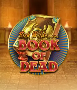 Enter the thrilling world of Book of Dead Slot by Play'n GO, showcasing vivid graphics of Rich Wilde’s adventurous journey through ancient Egyptian tombs and artifacts. Find lost riches with exciting mechanics like free spins, expanding icons, and a gamble option. Ideal for those seeking adventure with a desire for thrilling discoveries.